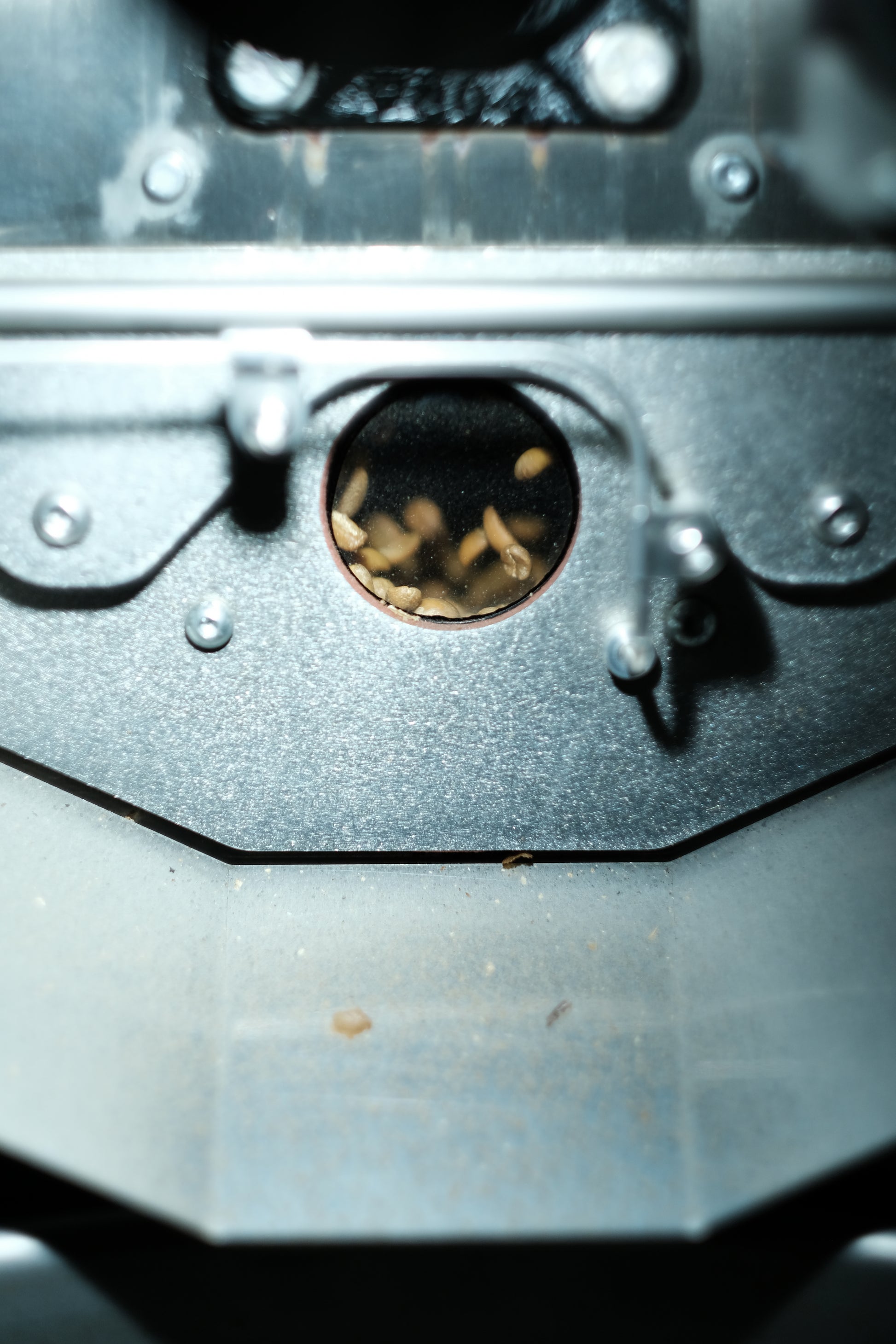 Ethiopia Gesha Village 1931 Oma #49