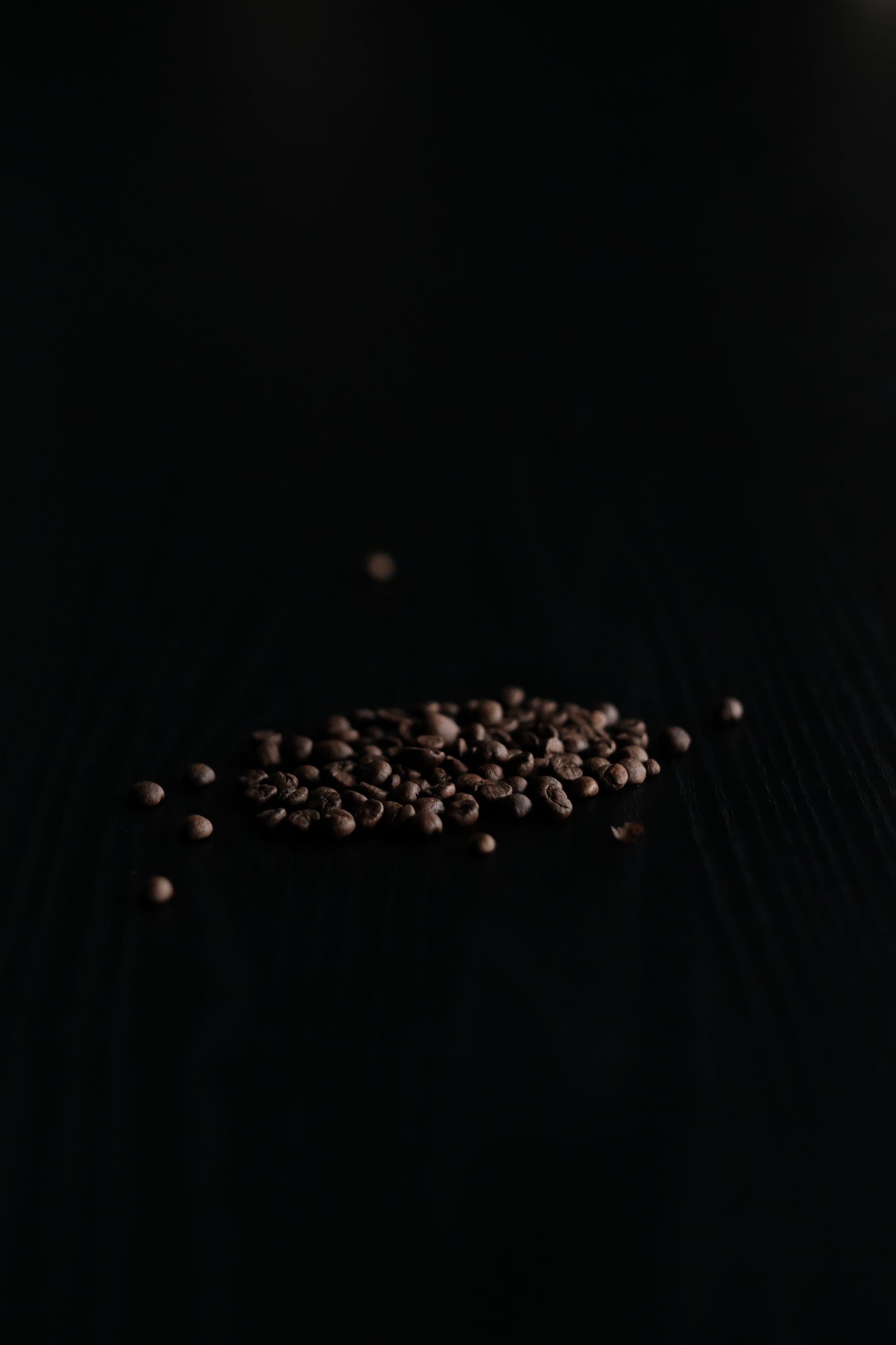 Panama Finca La Auromar