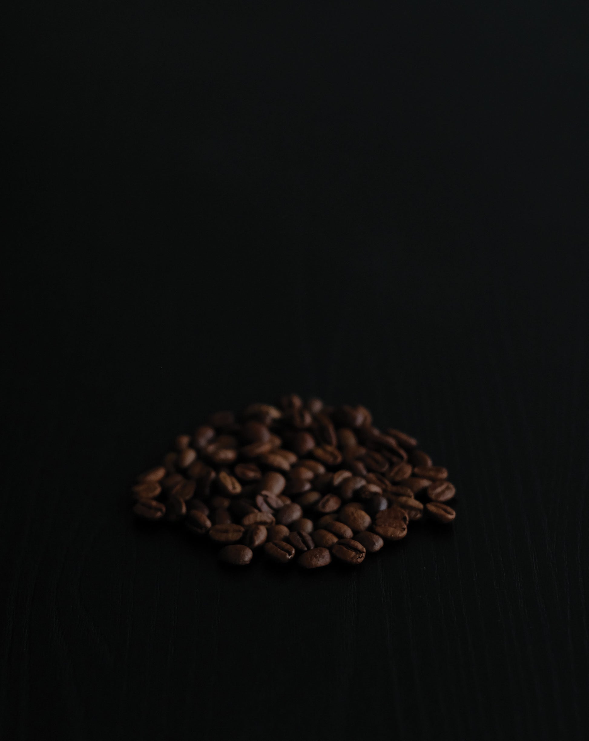 Brazil Beloni Horizontina