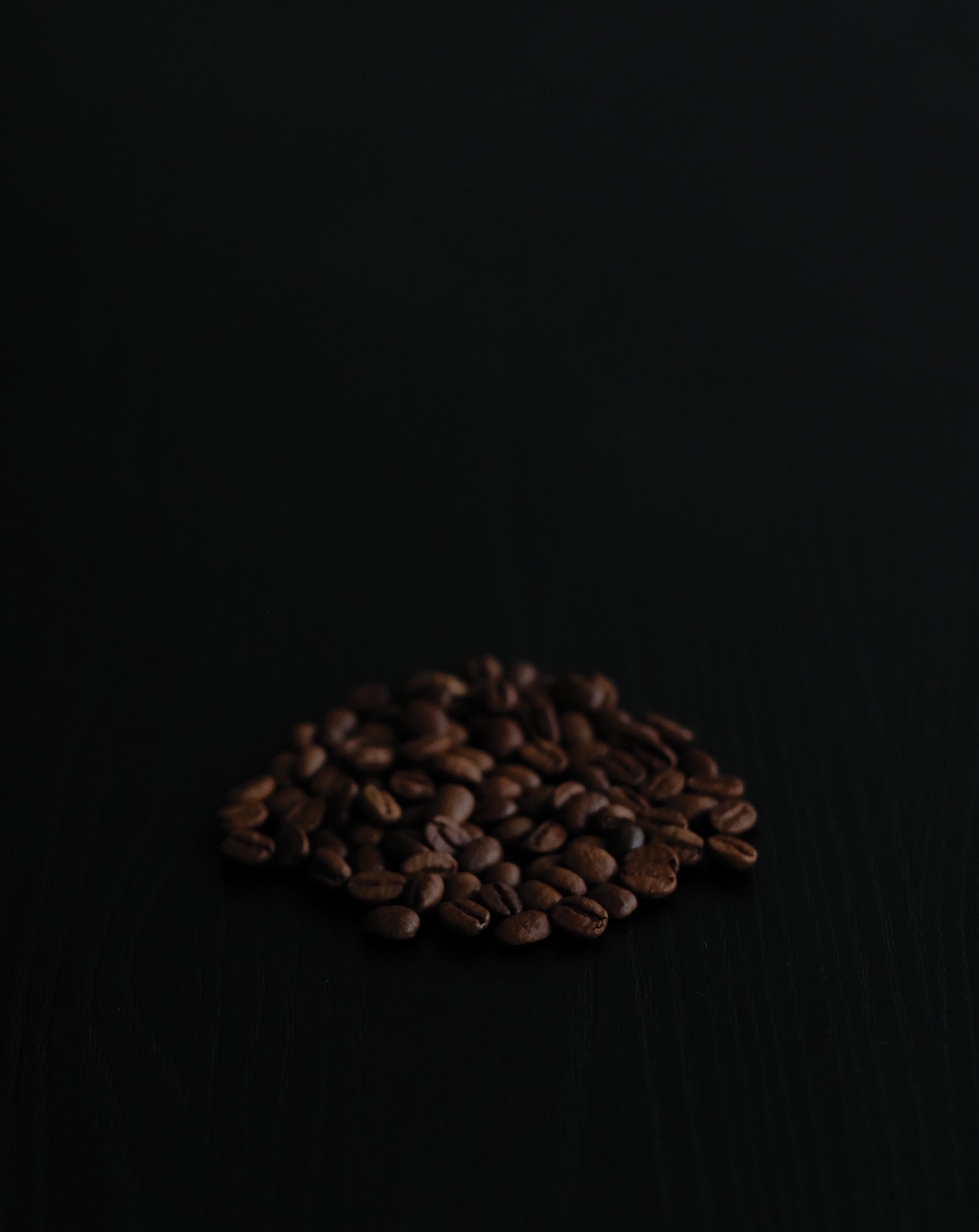 Brazil Beloni Horizontina