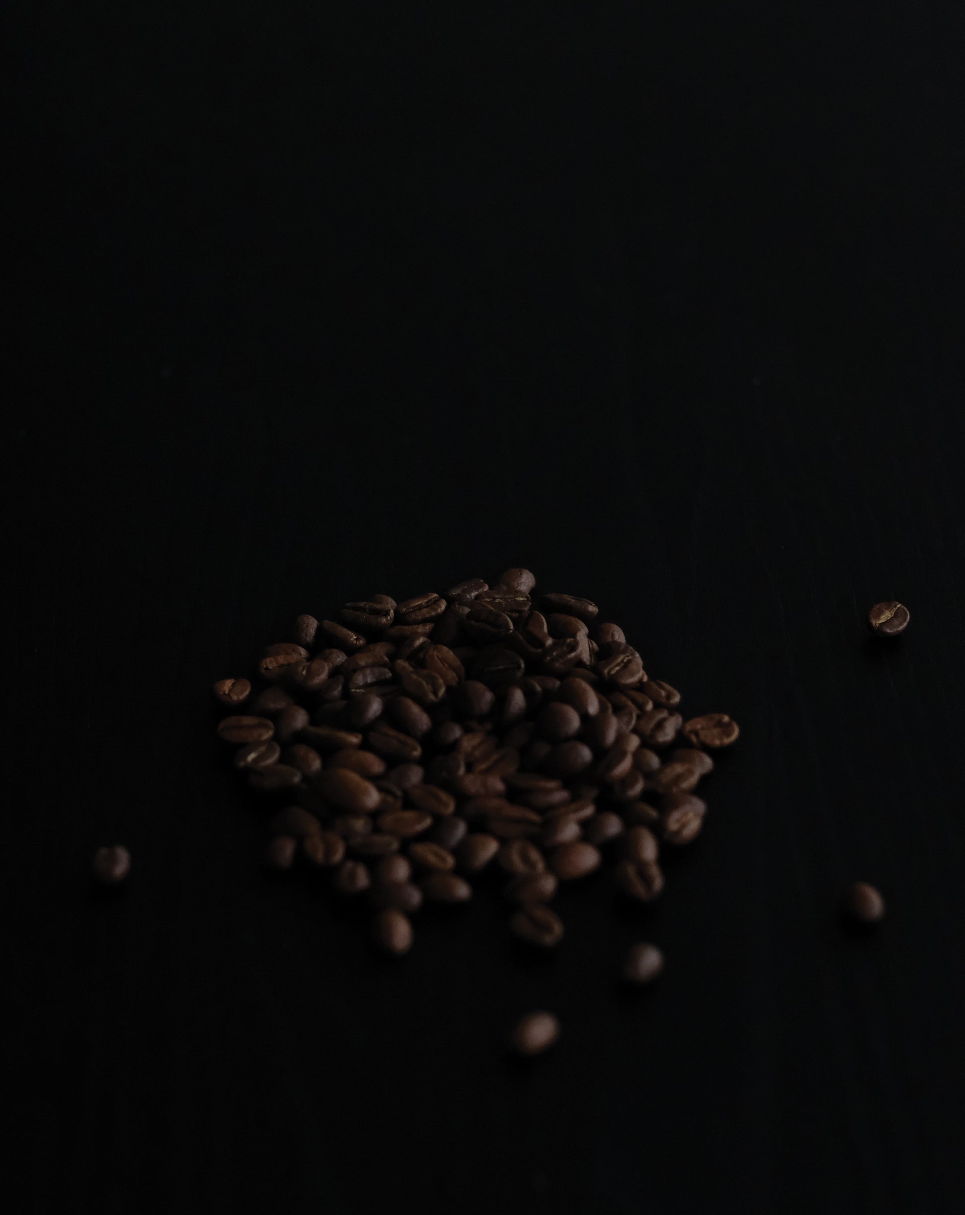 Colombia La Quebraditas Gesha